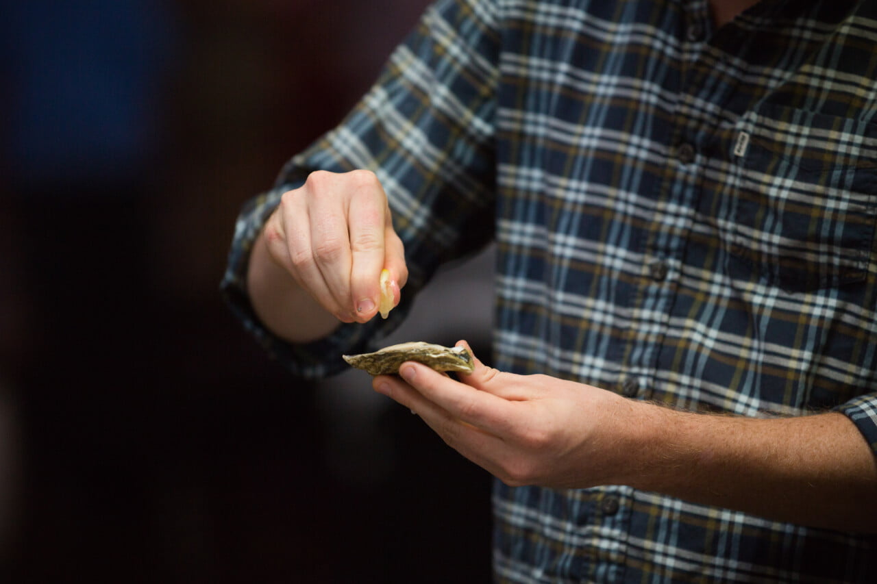Guest prepares Pemaquid Oyster - (c) 5iveLeaf Photography