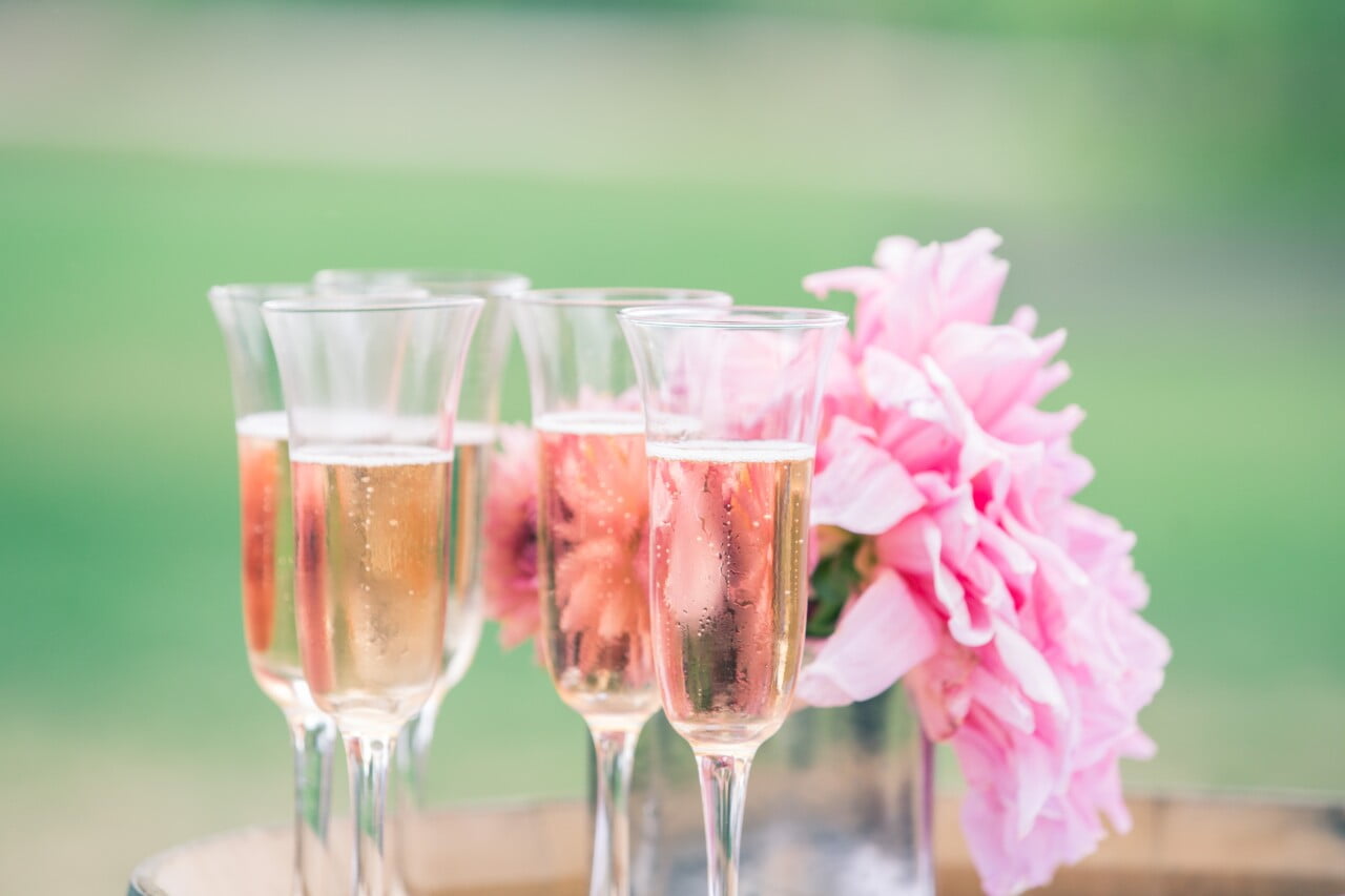Maine Event Photographer - (c) 5iveLeaf Photography