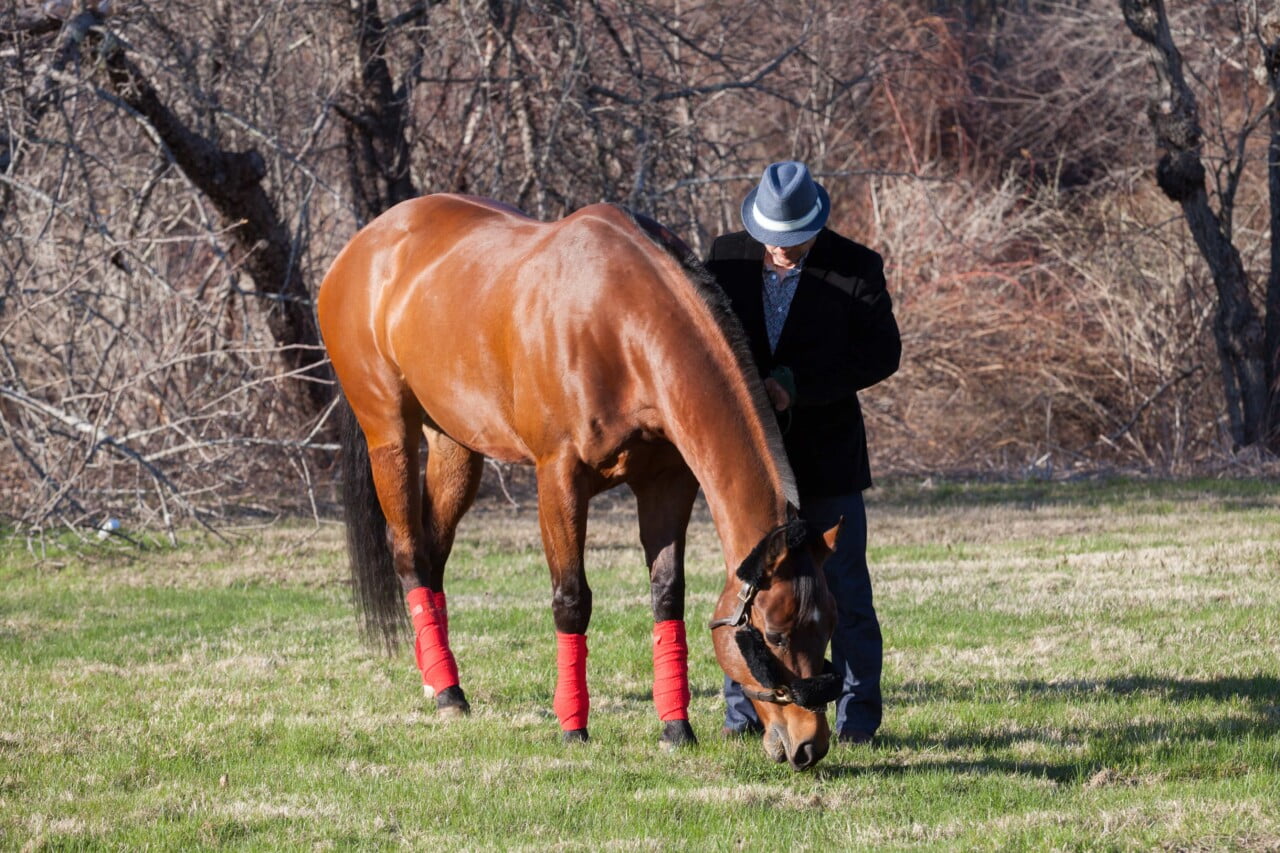 Derby Party - Private Event Photography - 5iveLeaf Photography