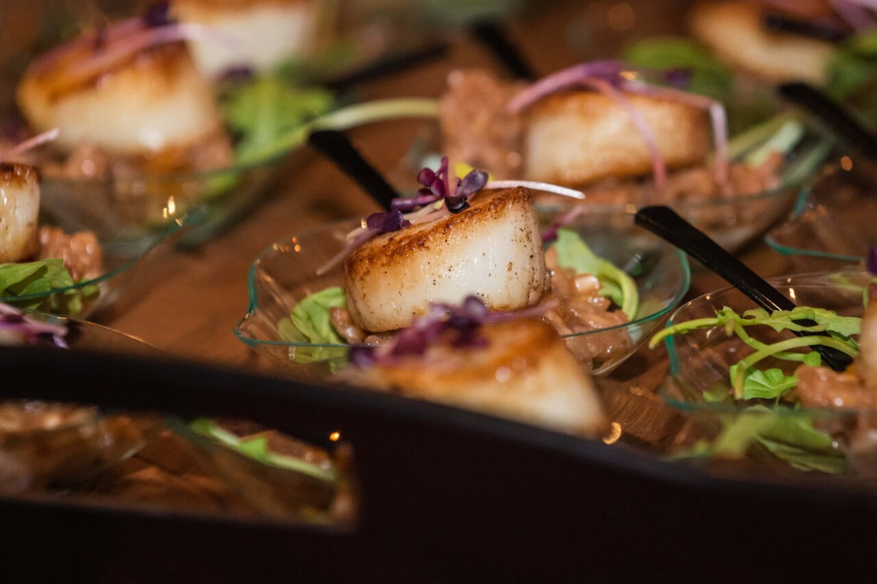 Event Photography Lincolnville Maine (c) 5iveLeaf Photography